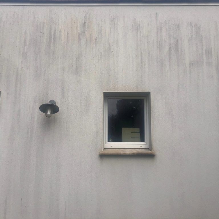 avant